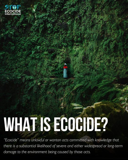AnnaKavanaugh's tweet photo. Such a critical and long-needed step. 👏 Legal experts have finally agreed on a unified definition for #ecocide. This aims to provide a practical mechanism to prosecute severe, long-term #environmental damage. #environment #climate #nature 🌎 More here:

https://t.co/V3rRkkqfVy https://t.co/eaBET1bXE4