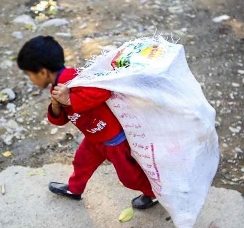 𝕻𝖝𝕻𝖔🇮🇷 tweet media