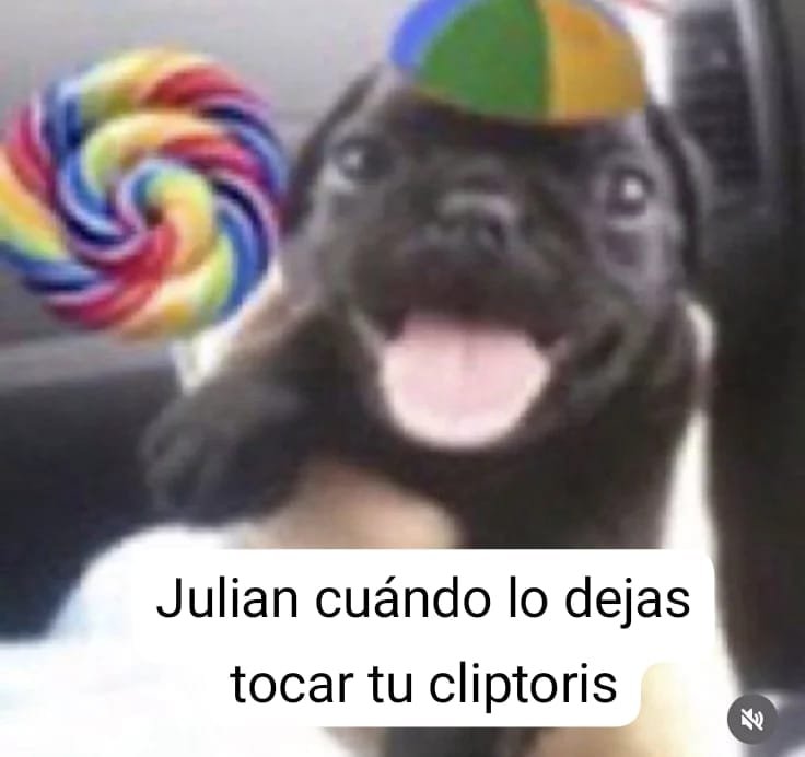 skkcuyacff's tweet photo. Julian mood
#cliptoris #funajulian #clanjun https://t.co/cJxTajfAil