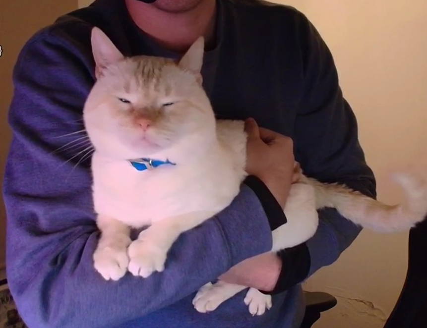 zeilcito's tweet photo. COMO TE AMO FLAN AAA-
no importa si te portas para el OGT yo siempre te querré igual gato del bien https://t.co/HOn6cw5SBM