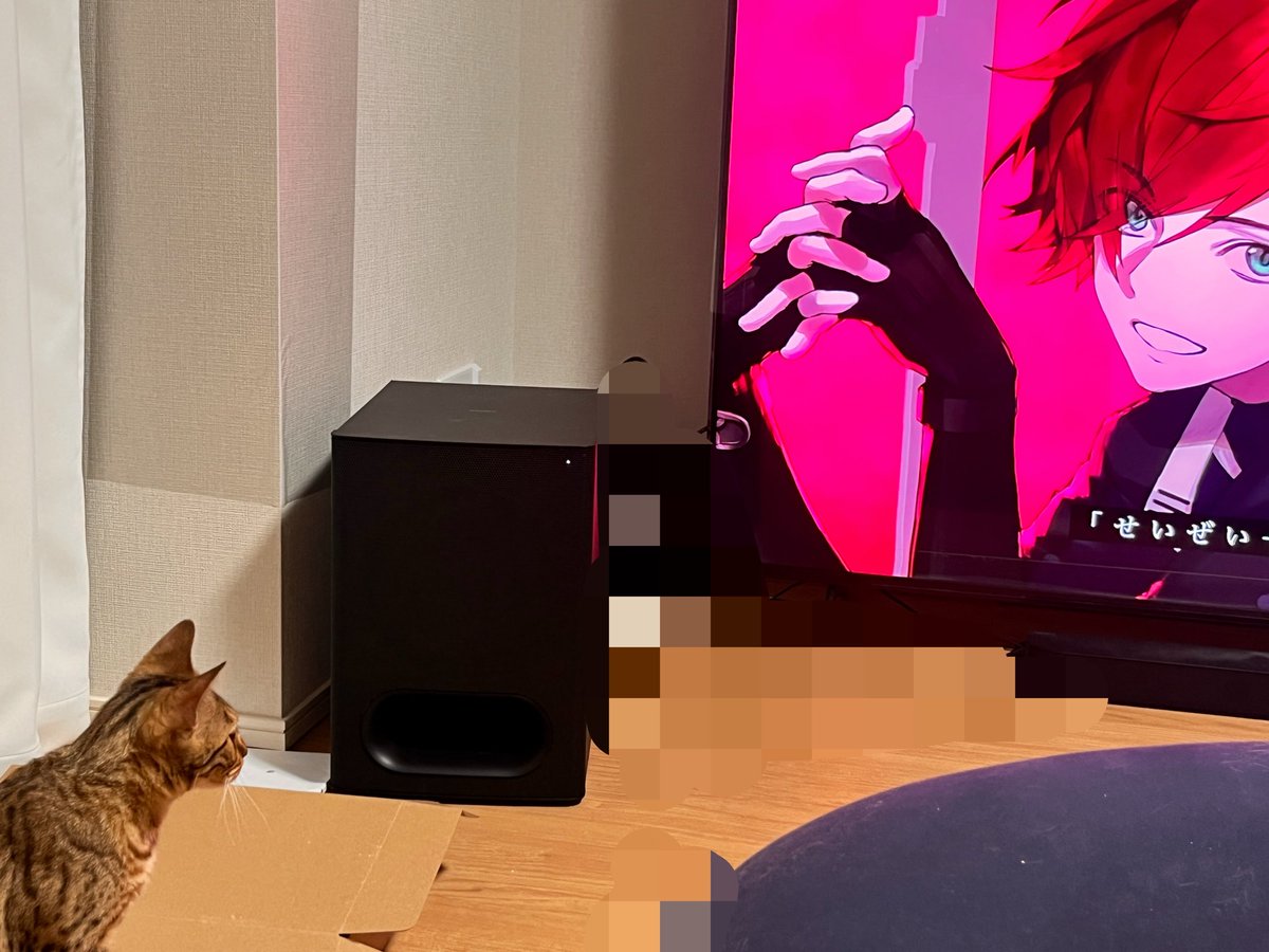 kanon9119's tweet photo. ローレンを見つめる猫🐱 https://t.co/1NAvsm6uMr