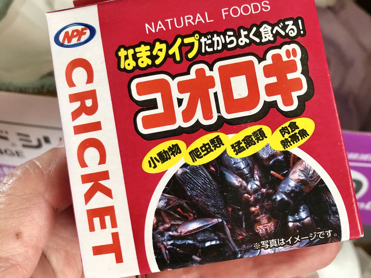 Windfall_ai's tweet photo. 生コオロギとミルワームパウダー買ってきた🦗 https://t.co/7oNZKnYEEq