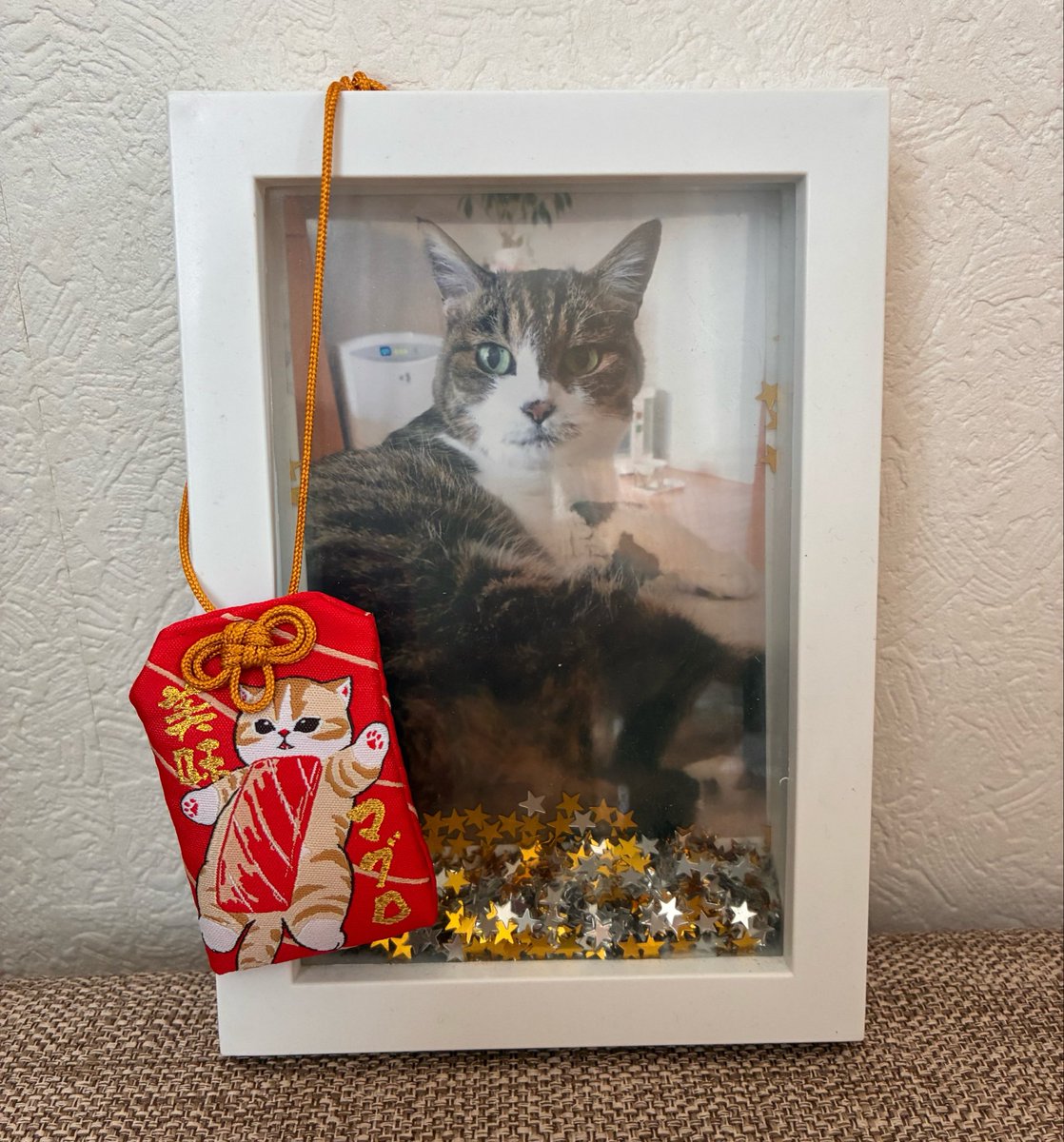 kohtohbu's tweet photo. 美味マグロ出合い守りをゲット🍣

お空にはおいしいマグロばかりだとは思うけれど🌈😼🐟

#虹の橋組 https://t.co/fzgiPw7Dsp