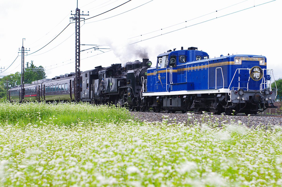 ED75_93's tweet photo. 2026/06/27-28 
SL大樹「土津」号　DE10先頭 https://t.co/VIKlgRDB3K
