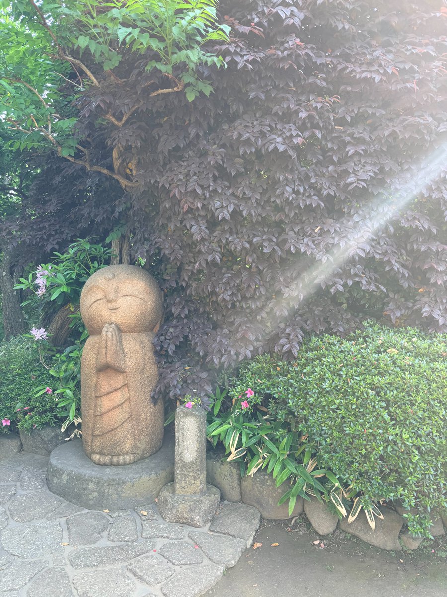 iketerukayo's tweet photo. やっぱり役職でなく、「出来事」との向き合い方がイキイキとした活躍につながる→

はてなブログに投稿しました
向かい風の中で しなやかに ー　女性リーダーとEQ　ー - 日々是Is'+ （アイズプラス代表 池照ブログ） https://t.co/Z1XCfClwKi
#はてなブログ #EQ #女性リーダー #組織開発 #日式EQ https://t.co/19jBg2nJQA