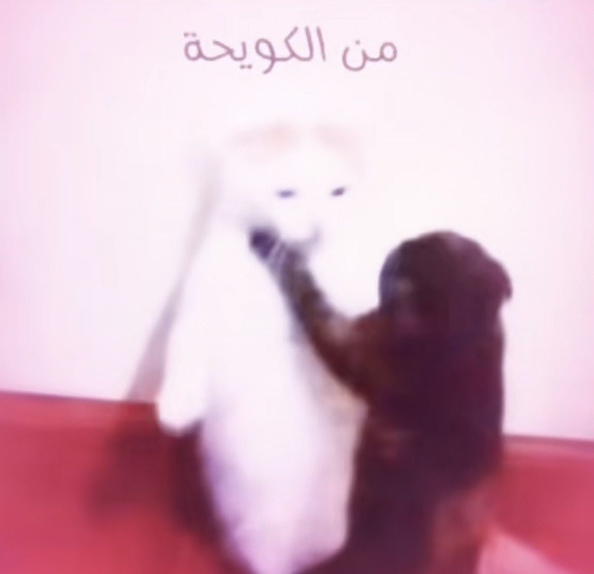 مؤسسة التويتر للمره المليون tweet media