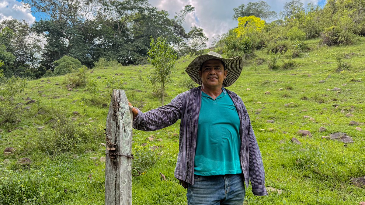 AgenciaTierras's tweet photo. La #ReformaAgraria sigue avanzando en Norte de Santander. Los asociados de ASOPROAGROCOP recibieron de manos de la Agencia Nacional de Tierras 55 hectáreas en el municipio de La Esperanza.

Entre los integrantes de esta asociación se encuentran 25 mujeres campesinas que hoy hacen parte de este importante logro colectivo. Junto a los demás asociados, seguirán trabajando estas tierras, mientras el Gobierno del presidente @petrogustavo continúa jugándosela por el campo.