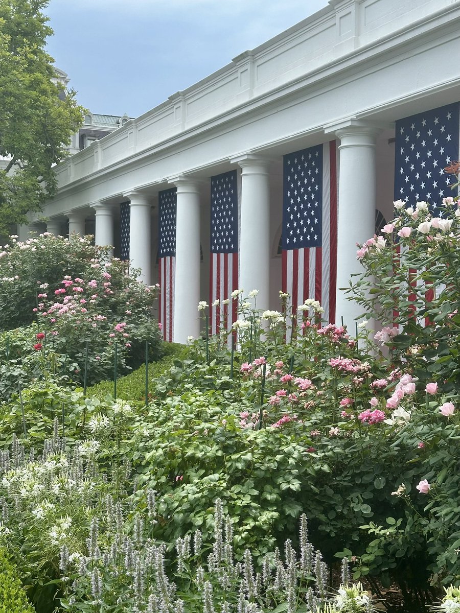 kaylahaas's tweet photo. It is very cool to love America. 
250. https://t.co/o01SCol3xT