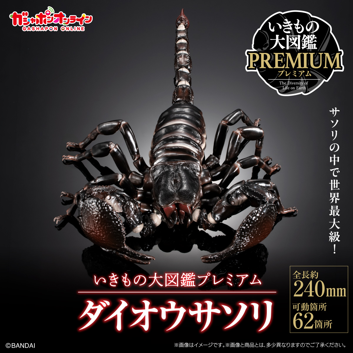 Gashapon_Bandai's tweet photo. ／
いきもの大図鑑プレミアム
ダイオウサソリ
（税込7,700円）
＼

#ガシャポンオンライン で
7月1日11:00から予約開始予定！

商品の詳細はこちら👇
https://t.co/8igQtp9CPJ

※準備数に達し次第、終了します
※ご予約には会員登録が必要です👇
https://t.co/unRiFpLdoQ https://t.co/G7x2i4d6A5