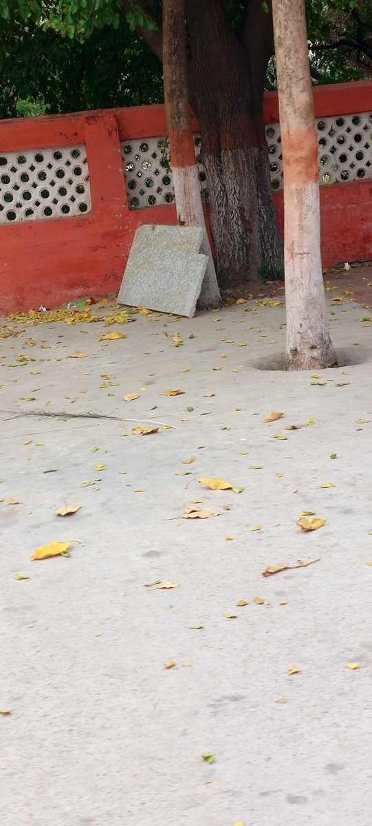 sebusharma's tweet photo. @RailMinIndia @RailMadad @RailwayNorthern से विनम्र अनुरोध है कि पेड़ों के चारों ओर पर्याप्त खुली जगह सुनिश्चित की जाए और इस समस्या का शीघ्र समाधान किया जाए, ताकि पेड़ों का संरक्षण हो सके।
3*3 फीट as per NGT.
#SaveTrees #ProtectTrees #Environment #Mohali #IndianRailways #GreenIndia #NGT @RailMadad https://t.co/7JwHpMlekX