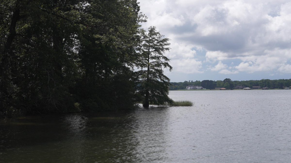 FishHandbook's tweet photo. Shade, near the main lake...is a great place to check out during the summer.
The shade provides cooler water and an ambush point for bass, while the main lake means access to deeper water nearby.
#Fishing #BassFishing #Lake #Baits #Outdoors https://t.co/5j8DdiBBzA