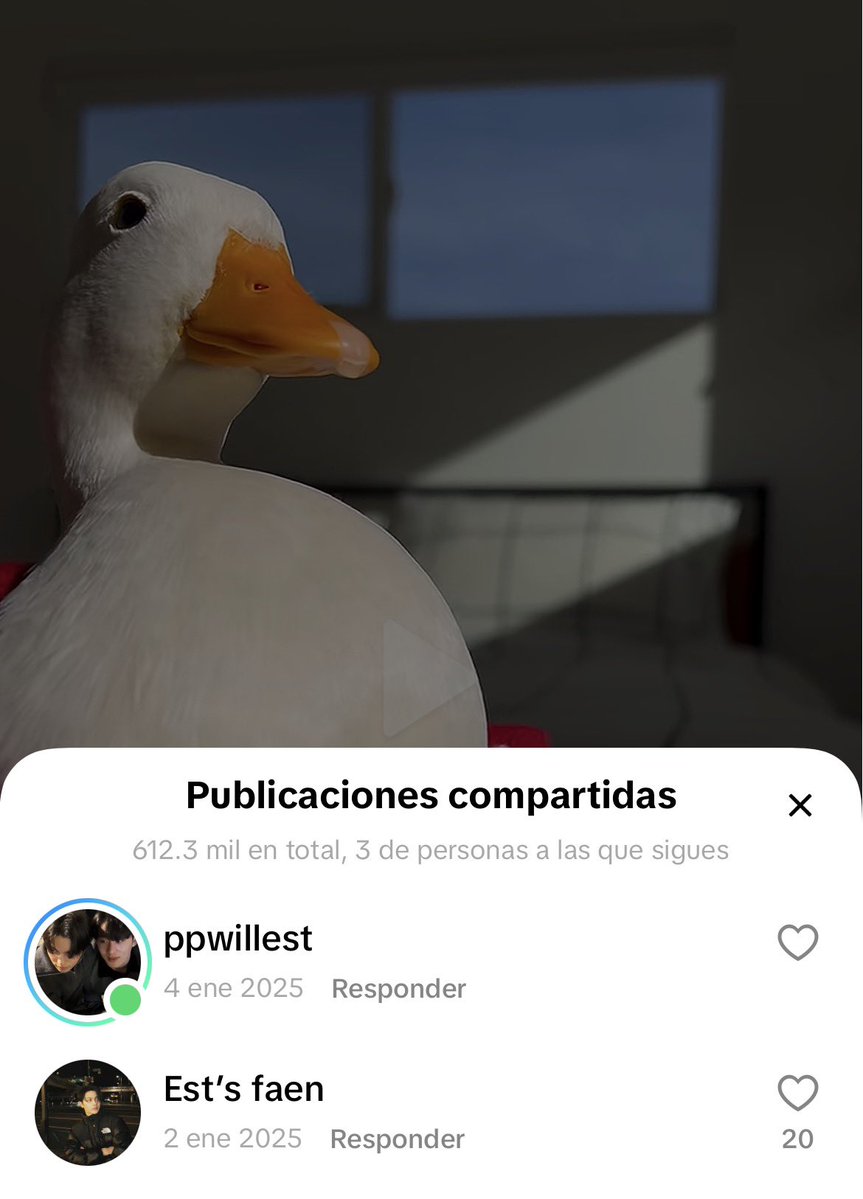 valcrazyforWE's tweet photo. someone give William a duck 😭😭
he reposted this, it’s so cute https://t.co/Iv4peCMWql