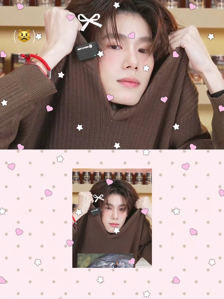 1xnovember's tweet photo. :¨·.·¨:
 `·.   ˚₊· bib meow ! ! ·̩͙ ₊ ᨦ🩷ᨩ ໋₊ ·̩͙ ⭐️🫳🏻 https://t.co/FFjZcK2lCb