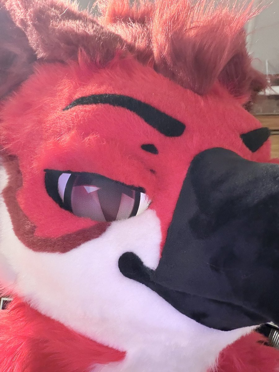 MaruGryph's tweet photo. new bird, who this? https://t.co/jN6c5r9ARX