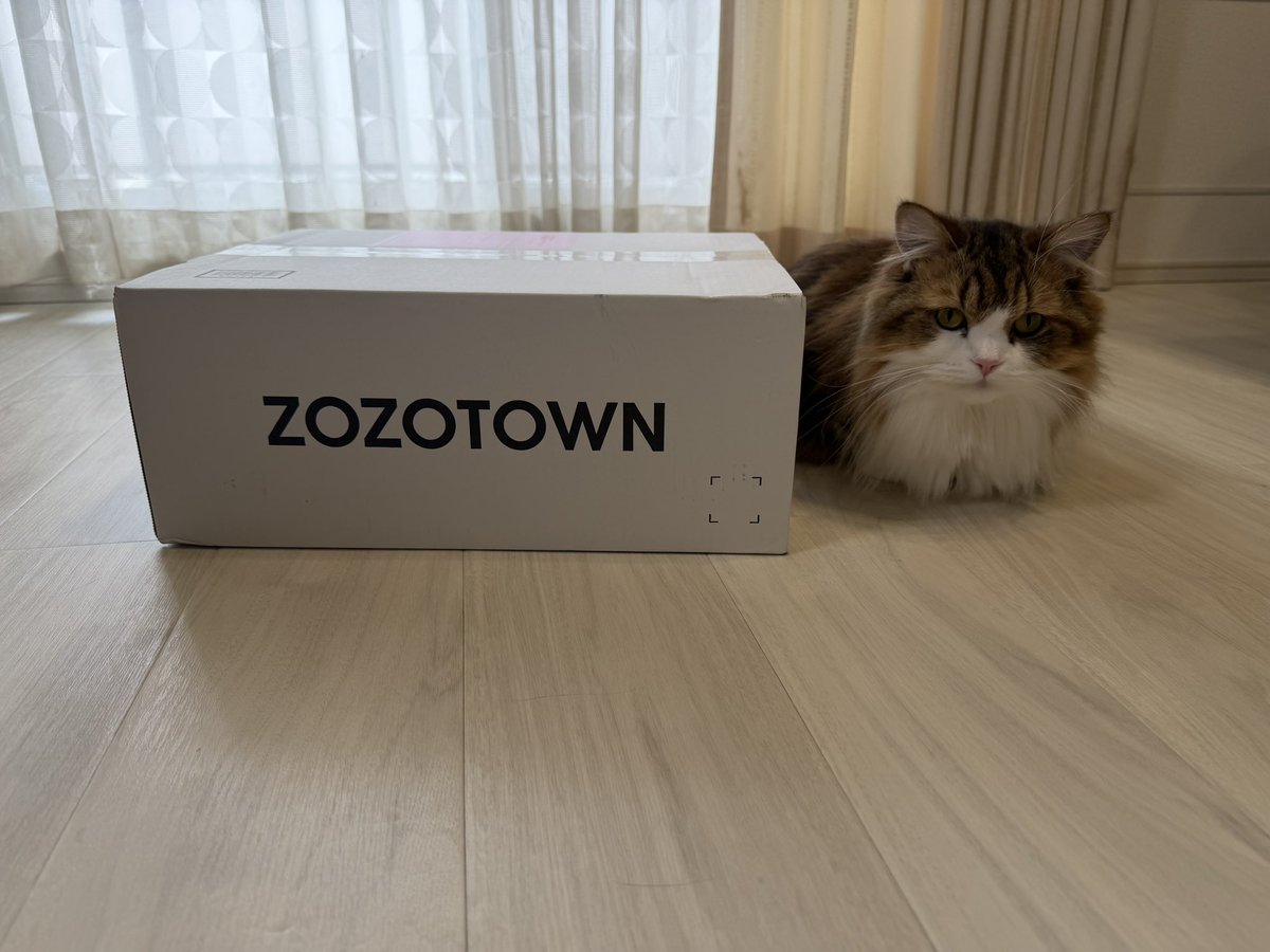 57my's tweet photo. 娘のお洋服買ったら白箱🧡
#ZOZOSALE箱CP https://t.co/bR0T1Qg7Kh