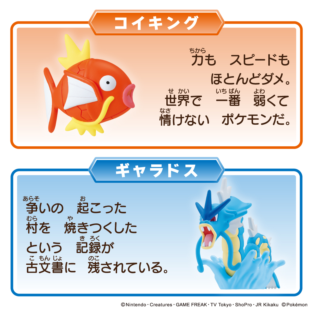 takaratomytoys's tweet photo. モンコレに「コイキング・ギャラドスセット」が登場！
コイキングとギャラドスの2体セット✨
ギャラドスは専用台座つきで迫力満点！

手に取ればポケモンの新たな秘密に気づくかも！

8月29日発売予定
https://t.co/FAvaSI5ZHX https://t.co/1zU22O4hel