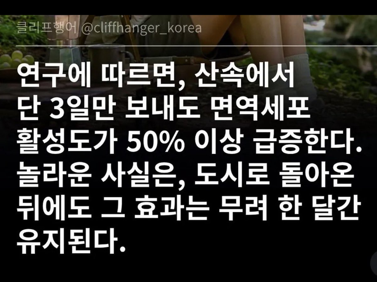 nataliebangg's tweet photo. 아픈 사람 산으로 가즈아 https://t.co/6woAnanZ2c