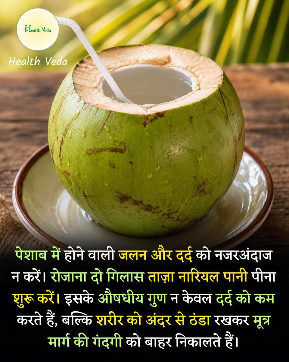tan4u_'s tweet photo. अगर पेशाब में जलन, गर्मी या दर्द महसूस होता है 
तो शरीर को हाइड्रेट रखना बहुत जरूरी है। ताज़ा नारियल पानी शरीर को ठंडक देने और नेचुरल तरीके से हाइड्रेशन बनाए रखने में मदद कर सकता है।

🌿 Benefits:
• शरीर को अंदर से ठंडक देने में सहायक
• हाइड्रेशन बनाए रखने में मदद
• गर्मी और थकान कम करने में उपयोगी
• शरीर को फ्रेश और एक्टिव महसूस कराने में मदद

⚠️ Disclaimer:
यह जानकारी सामान्य स्वास्थ्य जागरूकता के लिए है। लगातार दर्द या जलन होने पर डॉक्टर की सलाह जरूर लें।

#CoconutWater