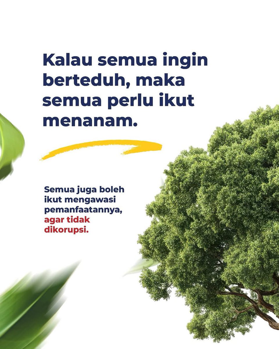 pajakmasamba's tweet photo. Semua orang tentu ingin merasakan manfaat dari pohon yang rindang. Namun, kerindangan itu tidak hadir begitu saja 😊 ada yang menanam, merawat, dan menjaganya hingga tumbuh. https://t.co/J5nWp6eK0d