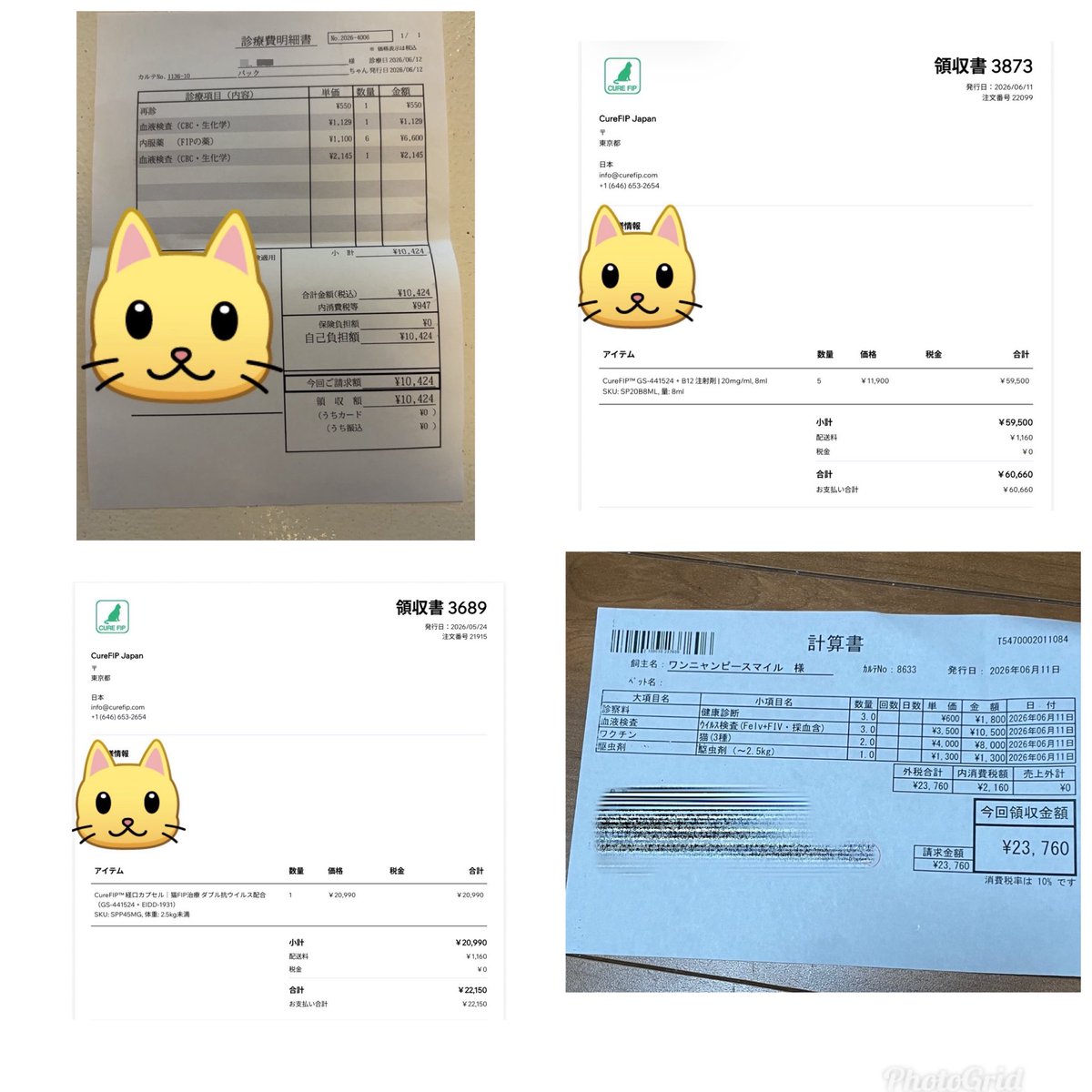 wannyanpeasmail's tweet photo. いつも保護っ子たちを応援してくださる皆さまへ😌

温かいご支援、ご寄付を本当にありがとうございます🙏🏻✨
ご寄付も簡単な事ではないです😭
私達団体保護っ子の為に応援してもらえてること感謝しかありません。

皆さまのお気持ちは、保護した猫ちゃんたちの医療費、ご飯代、通院費、搬送費等に大切に使わせていただいております。

小さな命を救う活動を続けられるのは、応援してくださる皆さまのおかげです😭
そして、日頃お世話をしてくれてるメンバーさんのお陰で命も救えてます。

感謝の気持ちを忘れず、これからも一匹一匹に向き合っていきます。

本当にありがとうございます。

ご寄付しましたとDM等もありがとうございます❣️
来月また報告させて頂きます。
心から感謝致しますm(_ _)m

#ご支援ありがとうございます
#応援いただけること感謝いたします