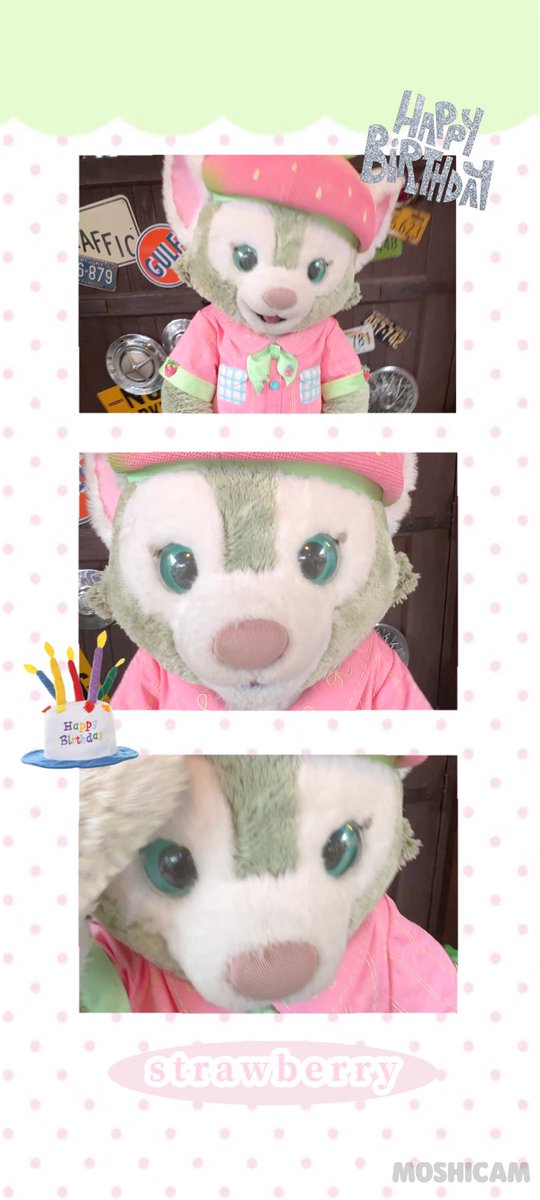 小猫小猫生日快乐🎂🍓 #SHDL #杰拉多尼 #ジェラトーニ