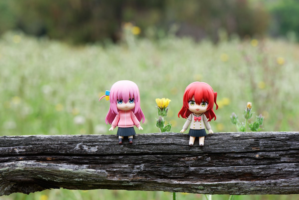 uguu_org's tweet photo. https://t.co/SGKQVxABYn