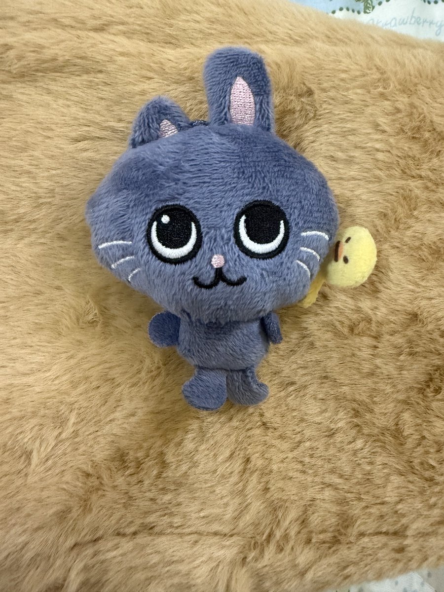bitoshop's tweet photo. โทนยังด็อก หัวโต 8cm 390.-
เคยอาบน้ำ 1ครั้ง ไม่มีไข่ปลาเหลือง https://t.co/PLHYTj2gEZ
