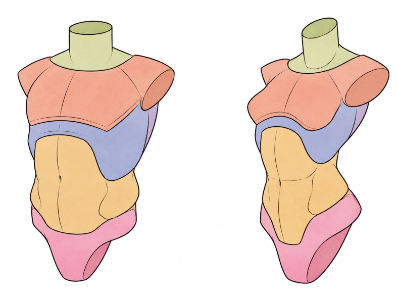 BearDesignX's tweet photo. female vs male pt. i've lost count https://t.co/nqkVLWtEYD