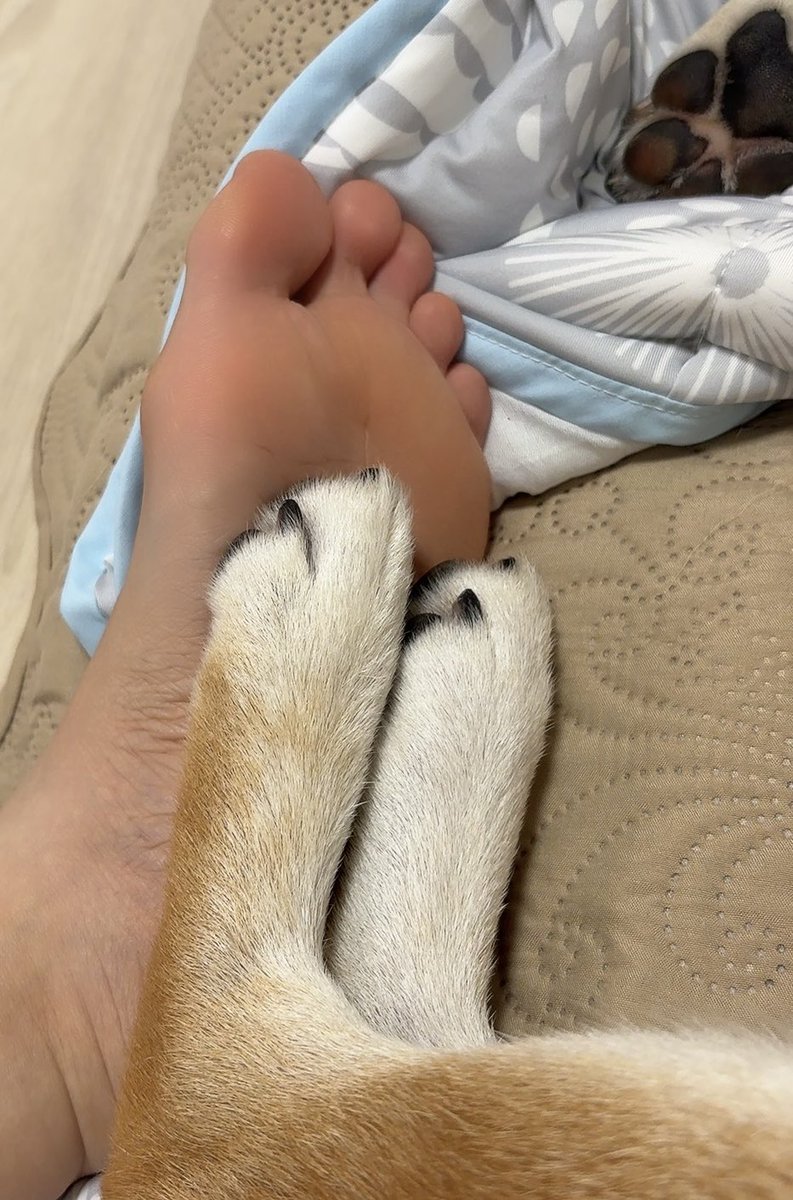 Biwanosuke84's tweet photo. あまりにもかわいい　ぬくい https://t.co/1ynAt1GsNC