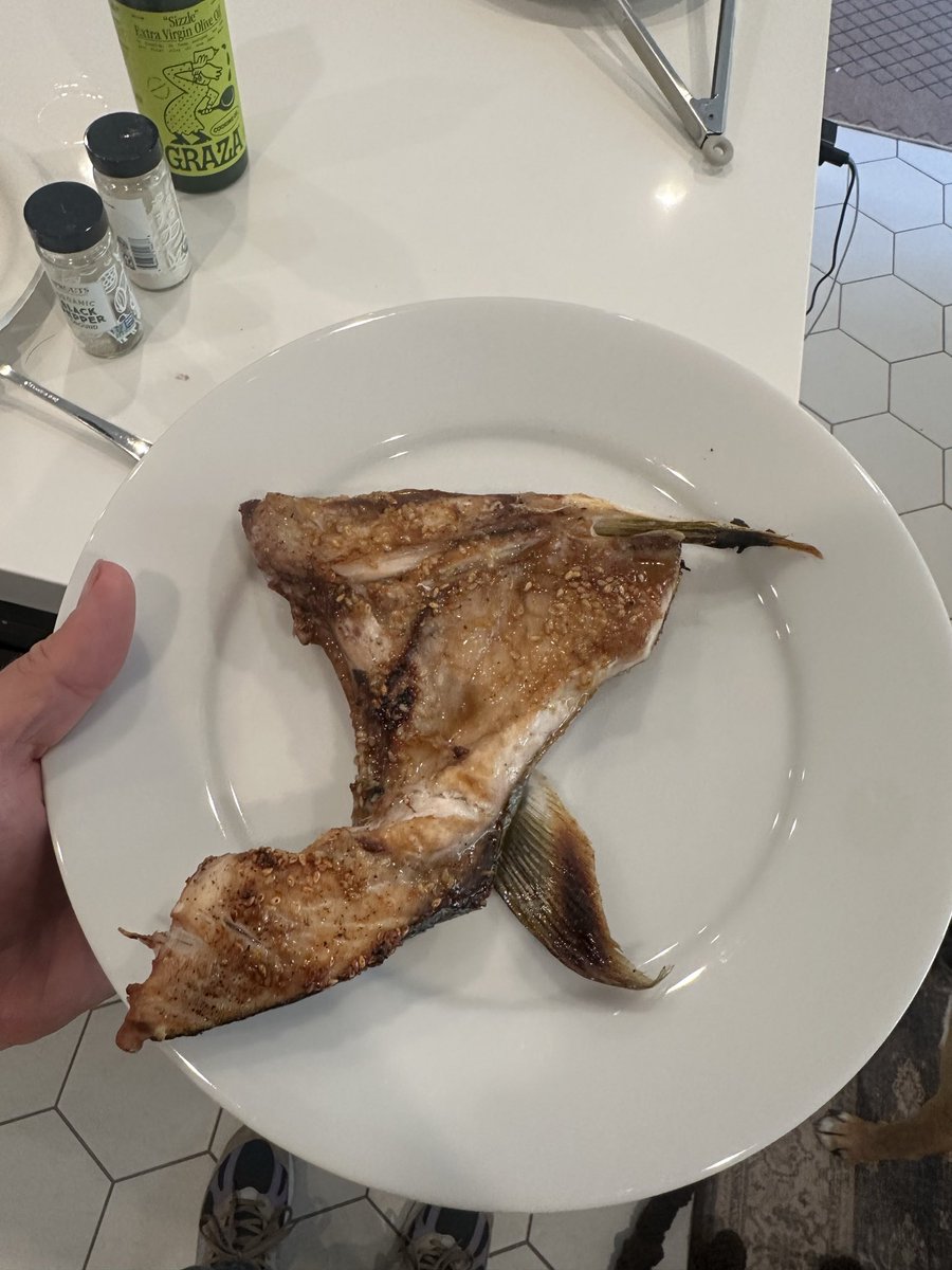 keefe609's tweet photo. Hamachi collar. Hell yeah. https://t.co/bUG0x0oH8P
