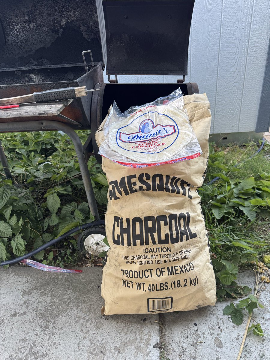 jmibullfrog's tweet photo. @noeticgas here we goooooooo!!!
I’m gonna try grilling up a quesadilla! https://t.co/Xcj8UYBBYR