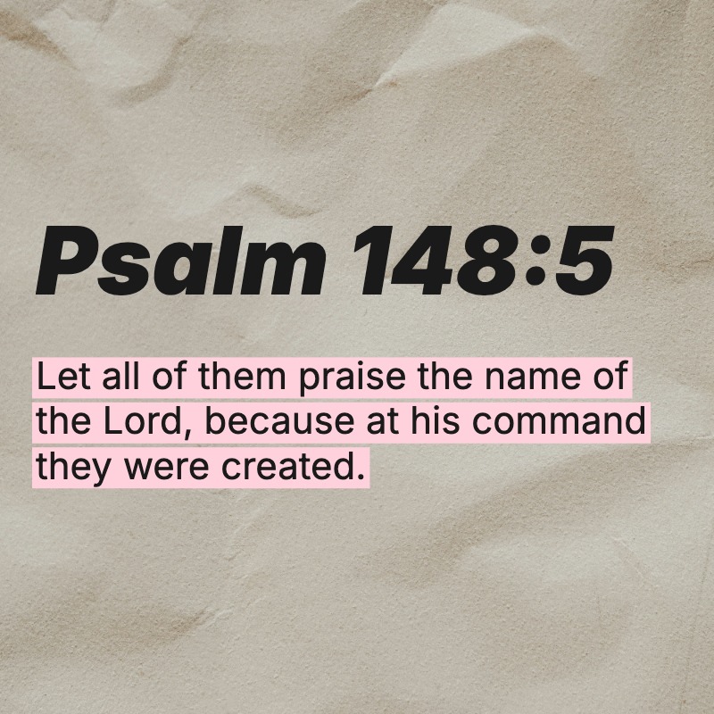 PositivePsalms's tweet photo. https://t.co/uYXVP1yfQJ