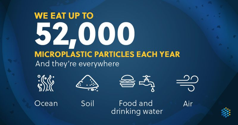 AnnaKavanaugh's tweet photo. Postponing #microplastics monitoring is unacceptable capitulation to chemical interests at the expense of human health. The contamination data is clear. For the #EPA to further delay oversight for years more is egregious regulatory failure. #environment

https://t.co/qIpj1hoym3 https://t.co/uUyu2K2Ji4