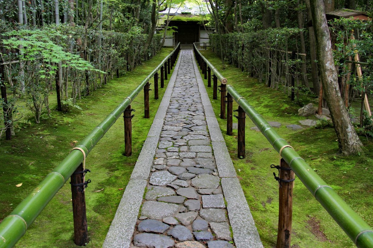 Explo_Kyoto2026's tweet photo. Early summer in Kyoto — deep greenery and refreshing breezes. A quiet rest in the shade after a temple stroll. Stay at a cozy Kyoto townhouse: https://t.co/RITD2hfEFp   #kyoto #japantrip #discoverJapan #beautifuljapan #JapanLovers https://t.co/K9vSrIexgf