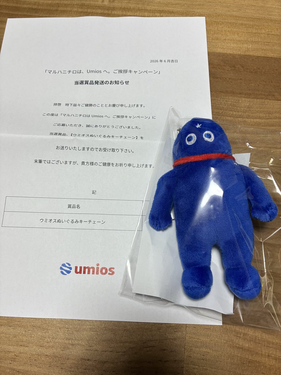 ウミオスぬいぐるみキーチェーン届きました！マスコットサイズで