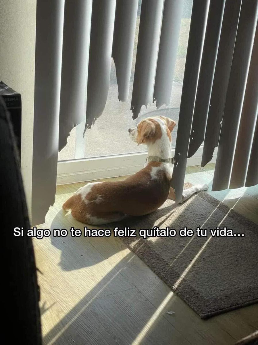 PsicAngelBS's tweet photo. Toma nota 📝 https://t.co/wq5EBuqiYl