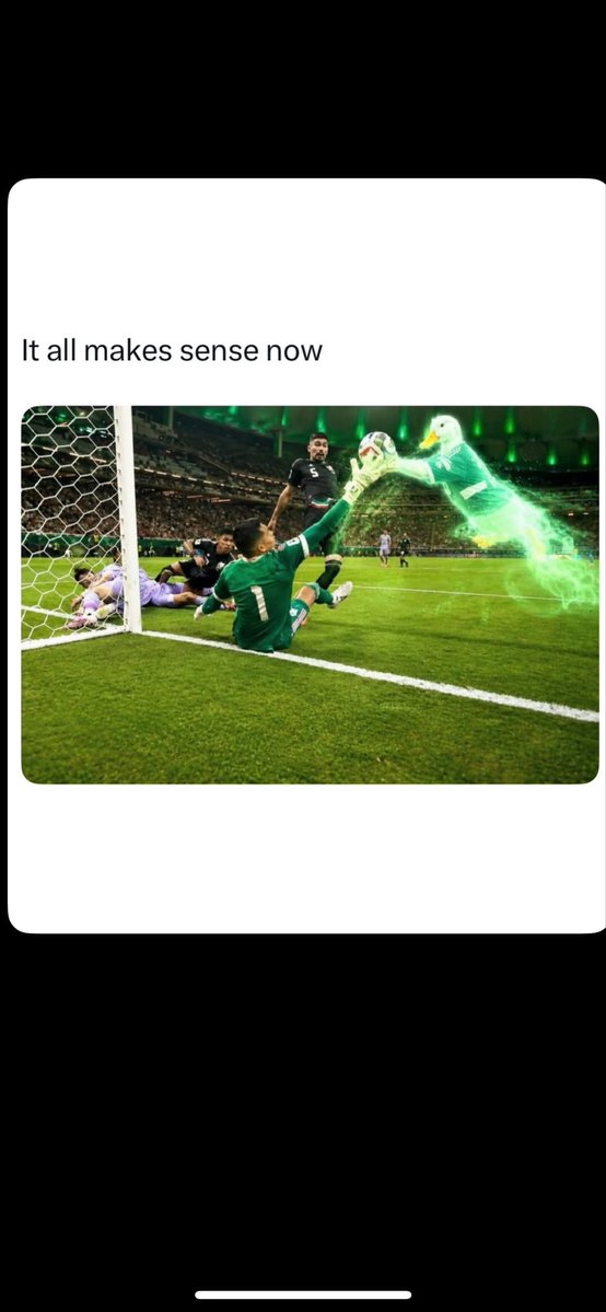 TerpyTurtlesss's tweet photo. Checkout the WORLD CUP 2️⃣6️⃣ @TerpyTurtlesss MEXICO VIVALAROSIN DROP❗️⚽️🇲🇽🐢 https://t.co/bDGvy2pdVx