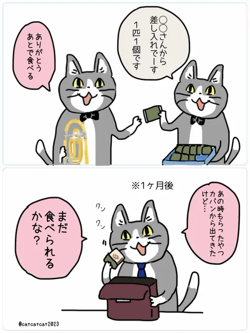 小分け袋に賞味期限の記載がないオヤツ(早く食え) 