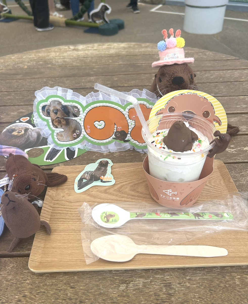 ミキです♡ ちのわちゃん1歳のお誕生日おめでとう🎀 ヴィキ様に後頭部が似てるっ