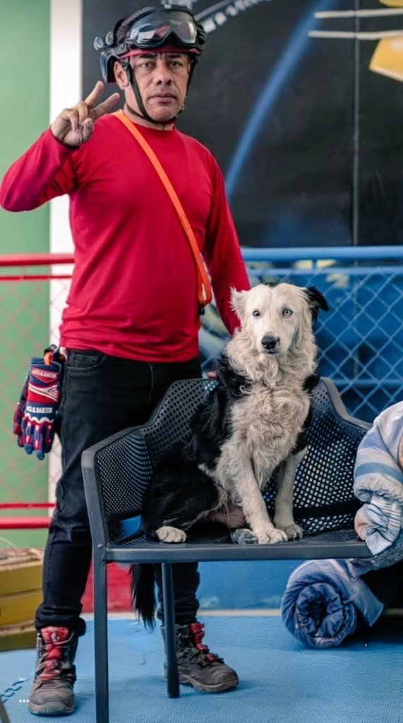 rodolf_guajardo's tweet photo. GRÁCIAS POR SALVAR MAS DE 300 VIDAS 🇻🇪
- Hoy Jorge y "TSUNAMI" salvaron 14 vidas ahora se van a descansar! Cuánto le das del 1 al 10 a esta pareja?
 🇻🇪🇦🇷🇭🇳
Seguime para más: @rodolf_guajardo 

#VenezuelaNoEstásSola #28Junio #rodyguajardo https://t.co/LKYLZ4MMpR