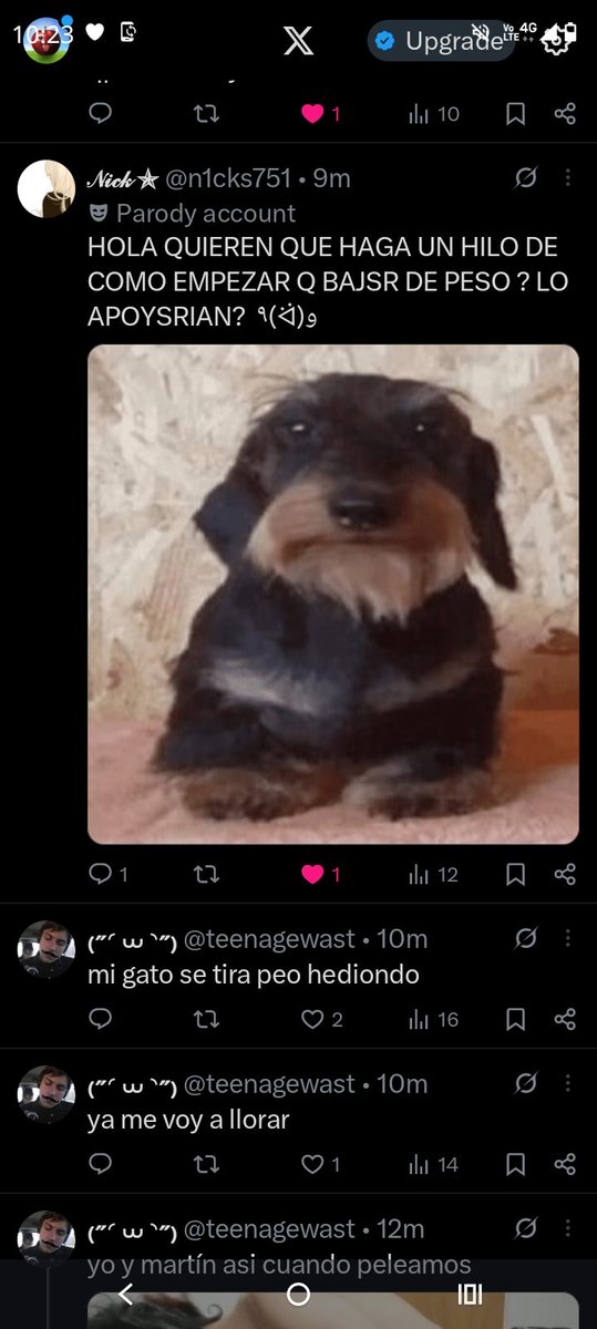 tofu tweet media