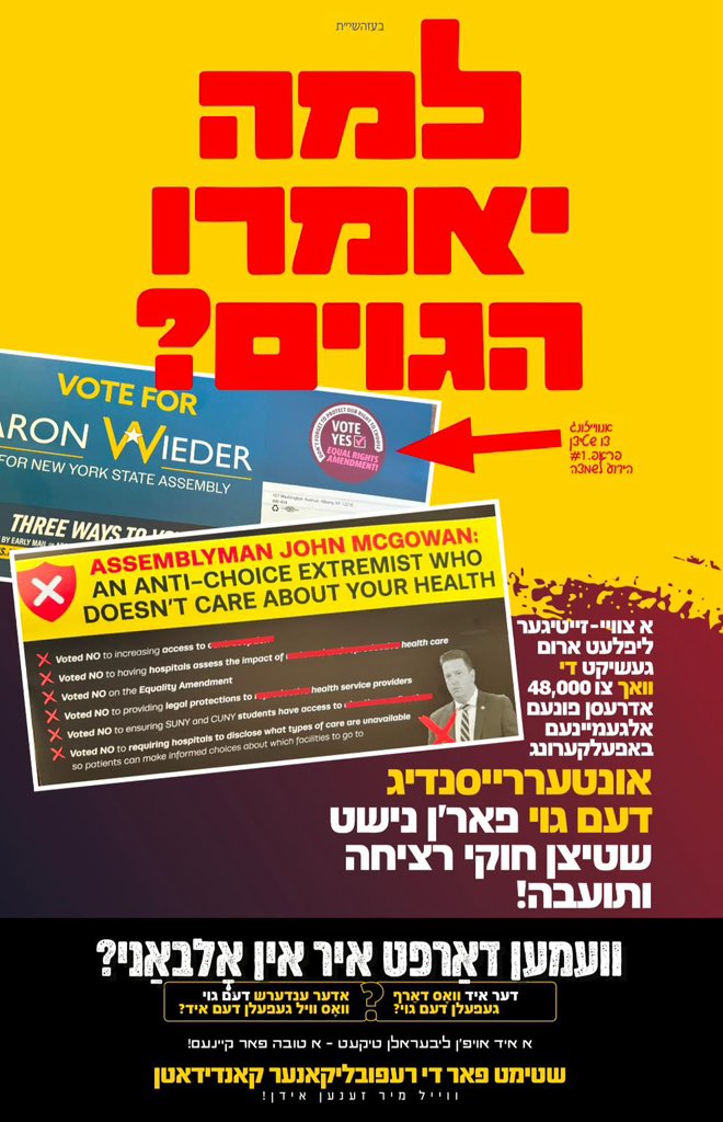 BenNazriGOP's tweet photo. Let me show you some of my previous work.

Working with @RafiSilberberg, I ran the campaign against @AronWieder when he faced @McGowan4NY because he’s a Democrat. I also ran the smear campaign against @meyertauber for backing failed left-wing candidate @Elijah4Senate. https://t.co/MDwSmXxpMc