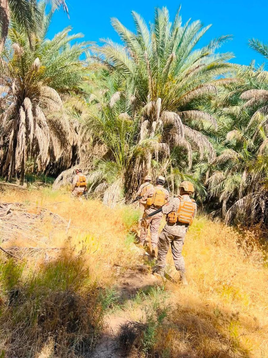 radio_98fm's tweet photo. الجهد الاستباقي يعادل الأمن في أسمى معانيه،،فهو يضمن حماية الأرواح والممتلكات قبل أن تمسها يد الضرر

#اذاعة_القوات_المسلحة_العراقية
#قيادة_العمليات_المشتركة https://t.co/oP9o18sSYn