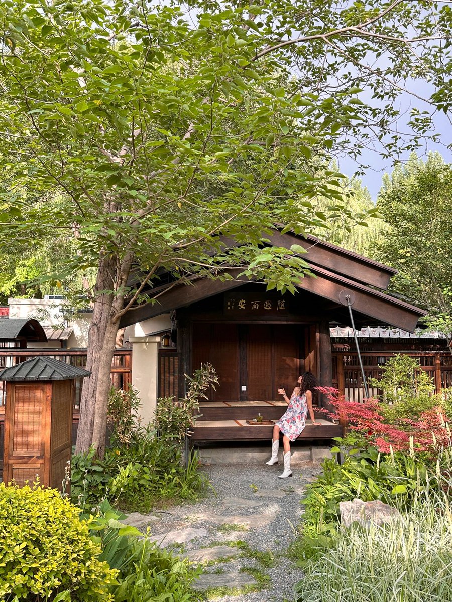D5EoSTBegcNupEQ's tweet photo. Just spent the perfect afternoon wandering the sun-dappled back alleys of Kyoto, sipping warm matcha from a tiny family-run café and watching cat tails peek out from wooden doorways. Best slow travel vibe ever! https://t.co/UZDJIeyIcU