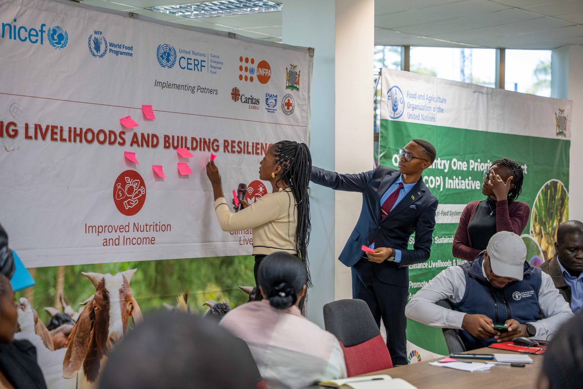 unredd's tweet photo. The #AIM4Forests Young Forest Champions workshop is officially underway!
In Lusaka, youth are sharing ideas, personal stories, and a deep commitment to forests and climate.
Together, they’re shaping the future of our landscapes.
#ForestChampions #GenerationRestoration https://t.co/EotSErdGUD