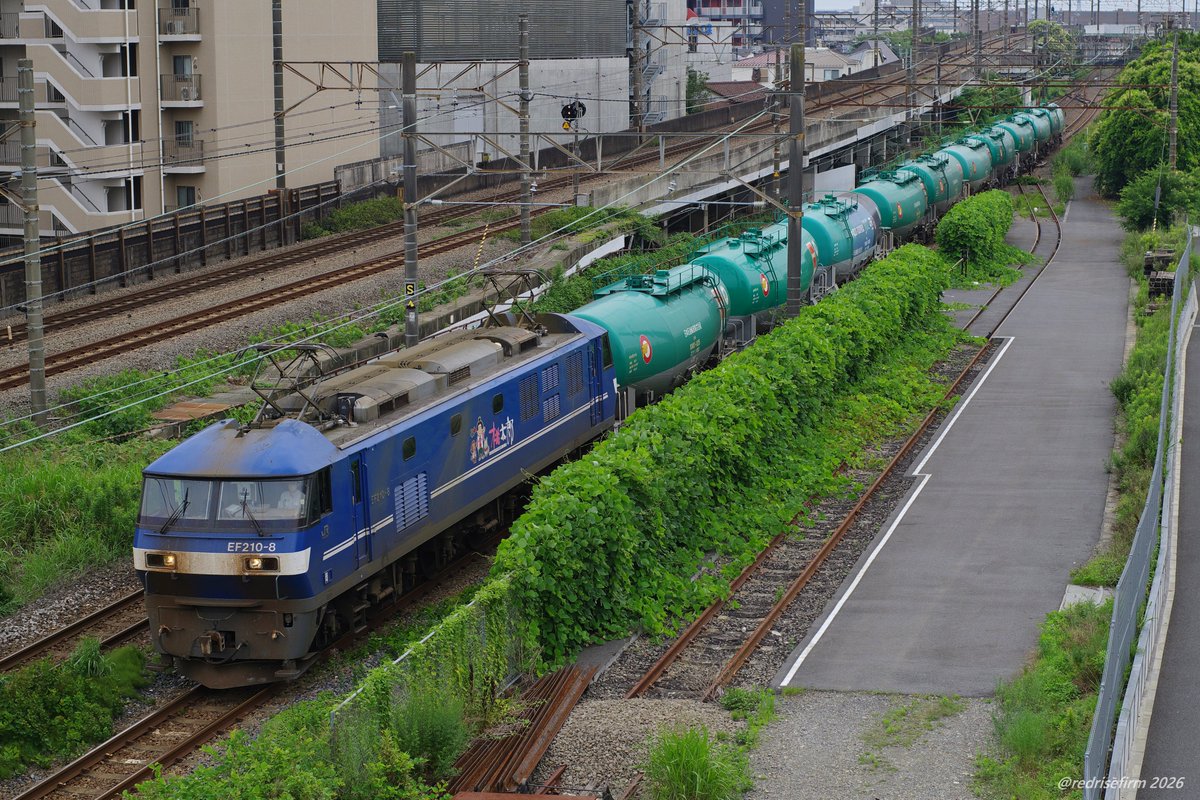 redrisefirm's tweet photo. 2026/06/30：4091レ：EF210-8＋タキ。岡桃代走＆記念タキつきでした。 https://t.co/rmdpPtOdky
