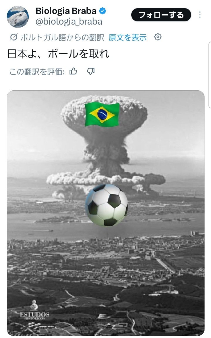 aikoku1 tweet media