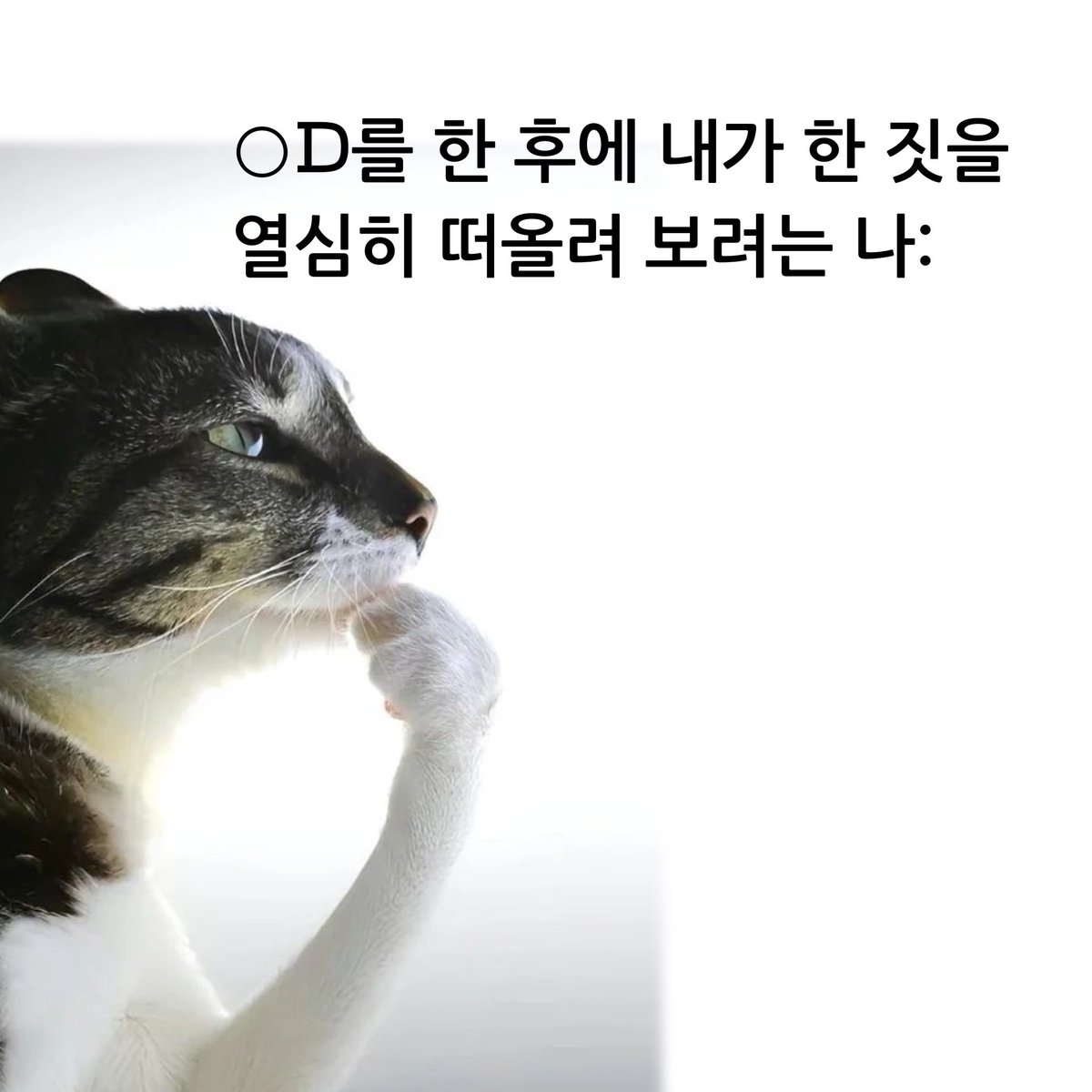 aufcl_07's tweet photo. 이거 ㄹㅇ 떠올려도 기억안남 https://t.co/4e9kZV0xlT