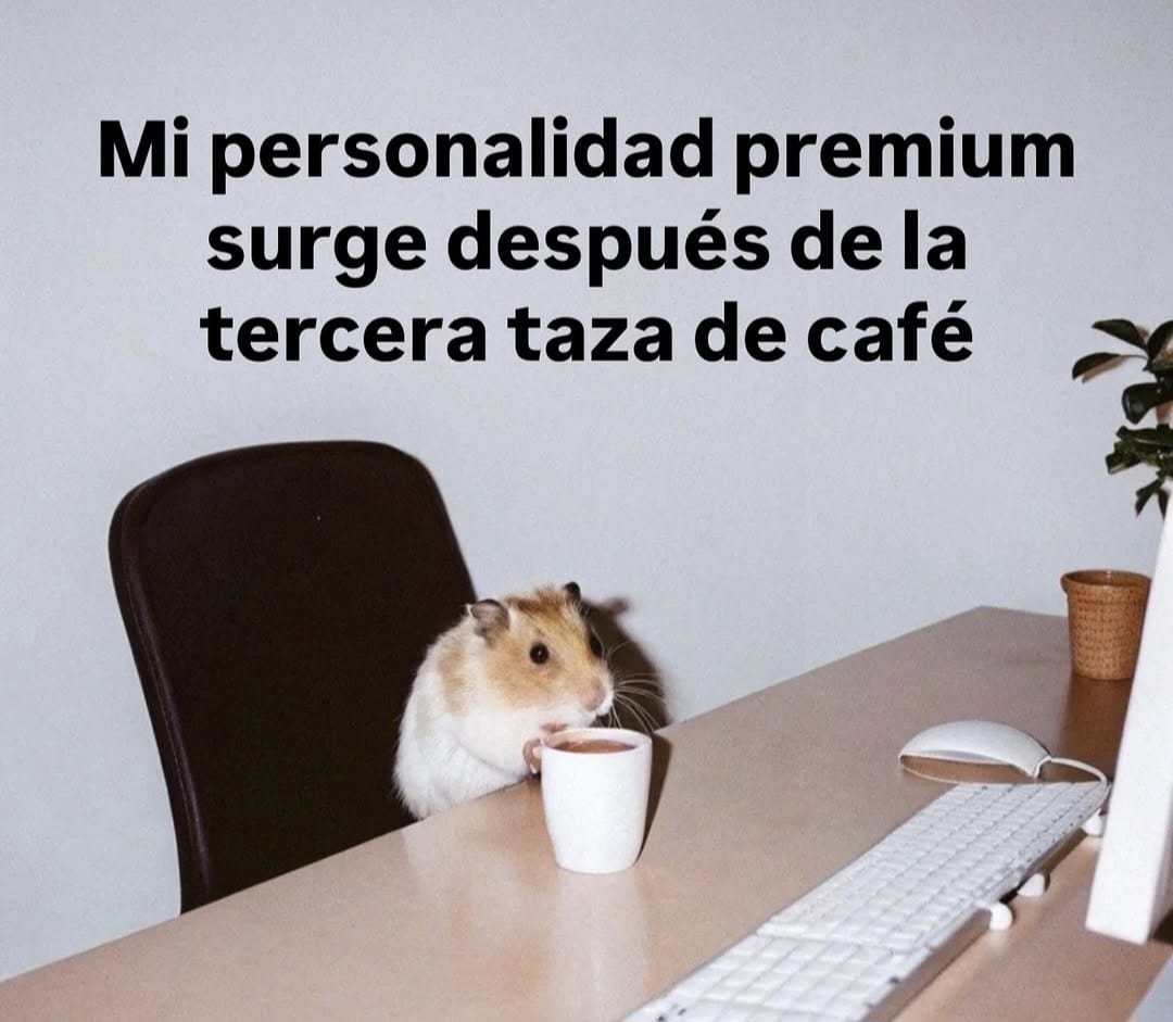 ANIMALITOSSANA's tweet photo. https://t.co/LRrFzi4xiE