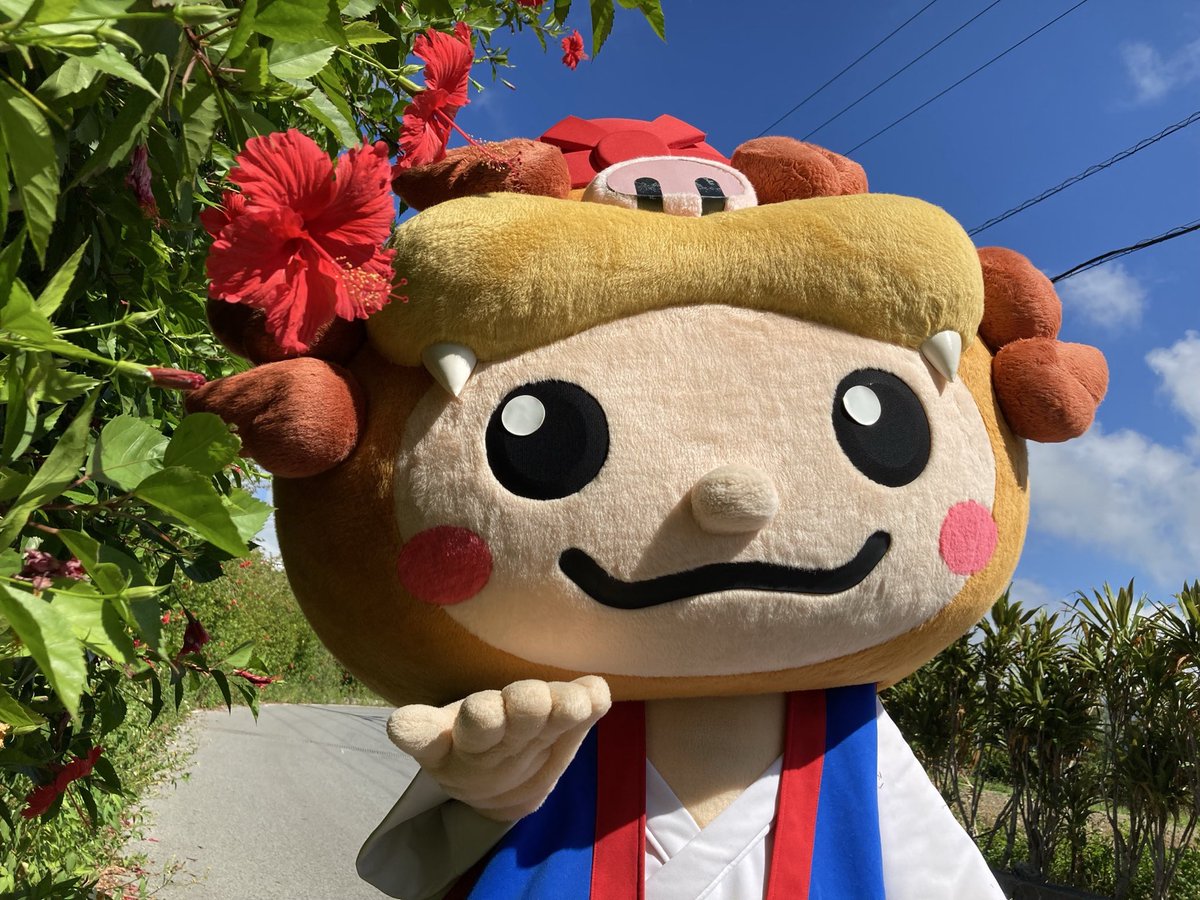 yaesenoshichan's tweet photo. 沖縄県は昨日、梅雨明けしたシー！
本格的な夏がやってきたシーちゃん🌺

暑い日が続いているシー💦
熱中症に気をつけながら過ごそうシー！ https://t.co/IgT3sPrwbz